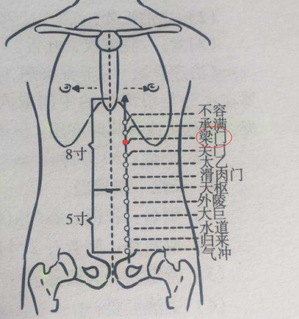 梁门穴的作用与功效,梁门的准确位置图