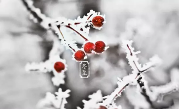 冬至节气养生知识 冬至吃什么最补身体