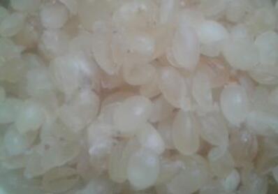 皂角米的价格，皂角米多少钱一斤