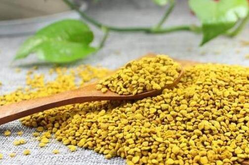 油菜花粉的功效与作用及食用方法