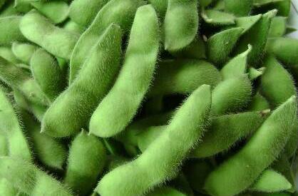 哪些人不宜吃毛豆，毛豆相克食物有哪些