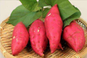 女人头发稀疏吃什么最好 这10种食物保住你的发际线