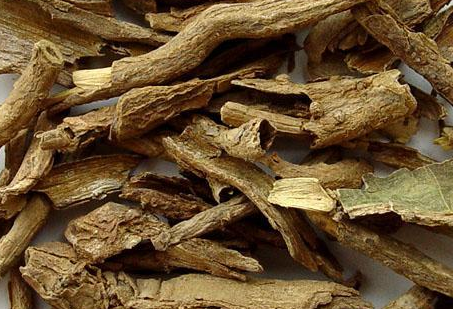 地骨皮和什么搭配最好，地骨皮的禁忌