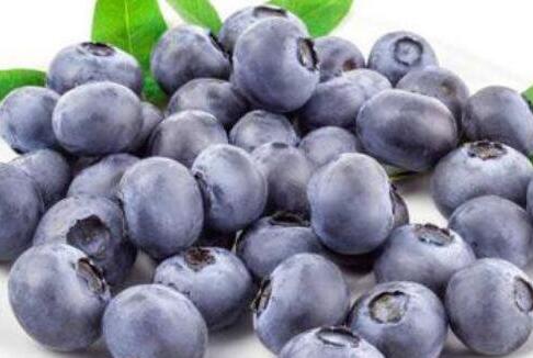 每天吃蓝莓有什么好处，每天坚持吃蓝莓一年后
