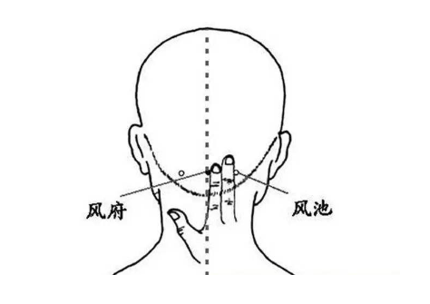 风府穴的作用与功效,风府的准确位置图