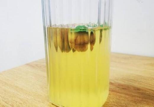 酵素青梅的功效与作用，酵素青梅可以天天吃吗