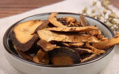 枳壳怎么读音，枳壳的功效与作用禁忌