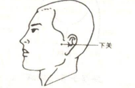 下关穴怎么找?下关的准确位置图片和作用