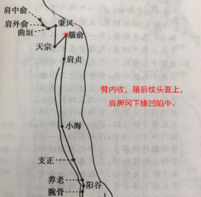 臑俞怎么读？臑俞穴的准确位置图和作用