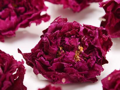 玫瑰花泡水喝的功效与作用，玫瑰花泡水喝的9大禁忌