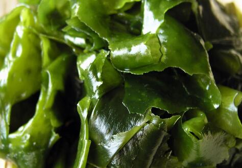 裙带菜是海带吗，裙带菜和海带的区别哪个好