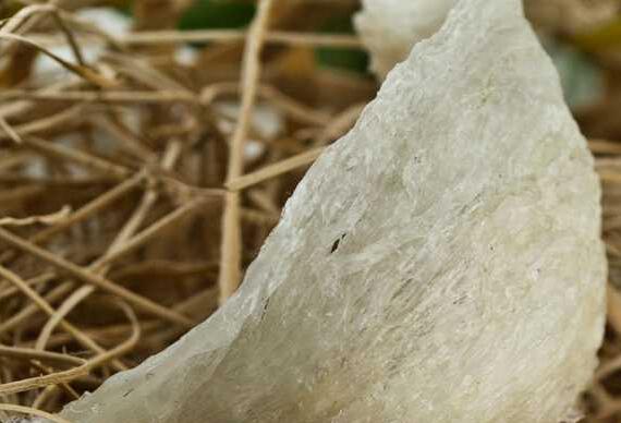 燕窝的功效与作用及禁忌，吃燕窝的好处