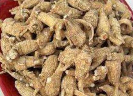 哪些人不宜吃花旗参，花旗参的禁忌人群