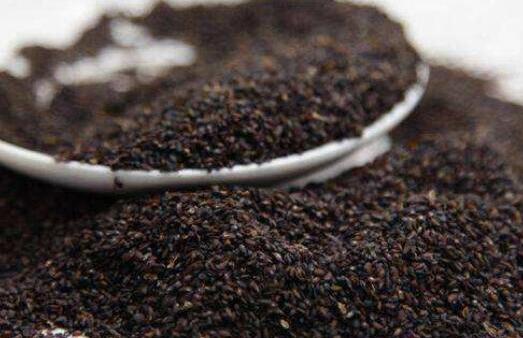 车前子的功效与作用，车前子的禁忌及吃法