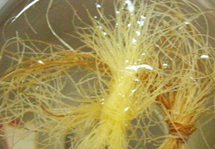 玉米须煮水的功效与作用，玉米须煮水喝的9大奇效