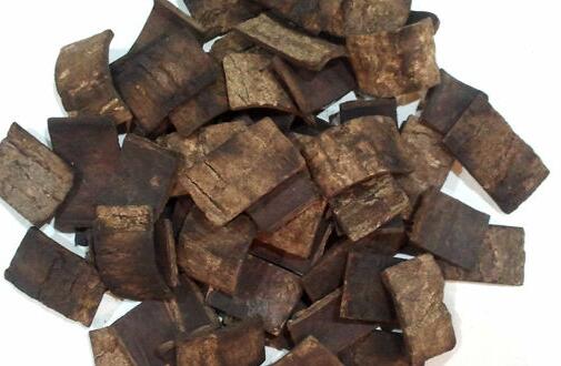 盐杜仲的功效与作用禁忌，吃盐杜仲的好处