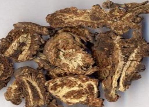 羌活胜湿汤的功效与作用，羌活胜湿汤的组成及禁忌