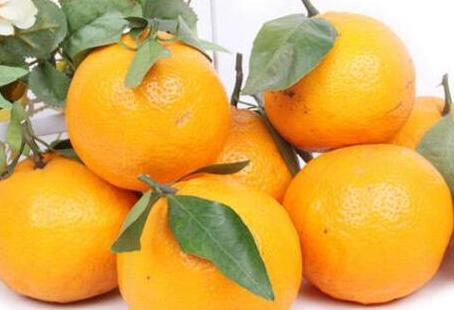 皇帝柑上火吗，皇帝柑上火还是降火