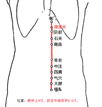 腹通谷穴的最笨找法，腹通谷的准确位置图和作用