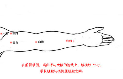 郄门怎么读音？郄门穴的准确位置图与作用