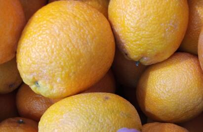 赶快收藏！一星期减肥10斤暴瘦法！