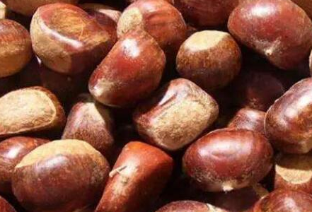 男人吃板栗补肾壮阳吗，补肾一天吃几颗板栗好