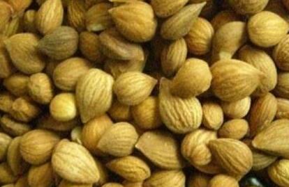 郁李仁的功效与作用及食用方法