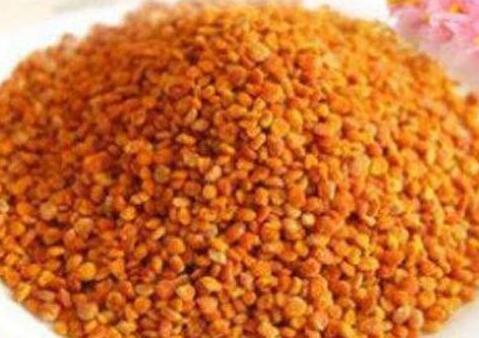 茶花粉的功效与作用及食用方法