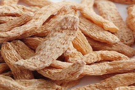 天麻的功效与作用及吃法（附天麻图片）