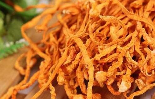 虫草花怎么吃，虫草花的作用