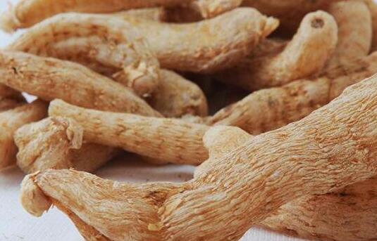 天麻的功效与作用及吃法（附天麻图片）