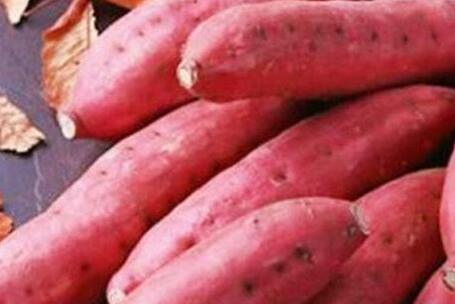 红薯怎样吃减肥效果最好，晚餐吃红薯瘦十斤