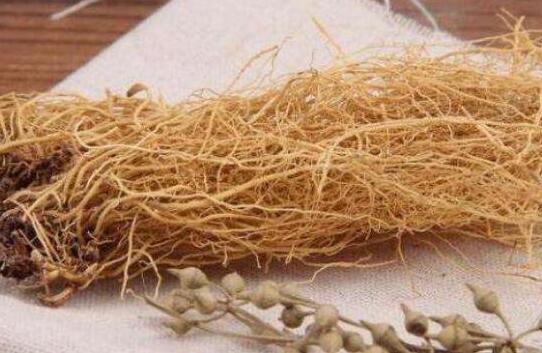 细辛对肾脏伤害有多大，细辛的神奇功效