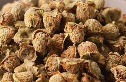 覆盆子壮阳效果好吗，覆盆子的功能与主治