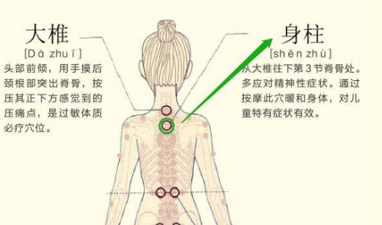 身柱穴怎么找最简便，身柱的准确位置图和作用