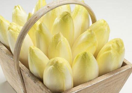 菊苣别名叫什么，菊苣是什么样子的