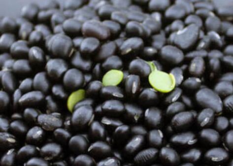 我坚持吃黑豆一年,黑豆怎么吃最好?