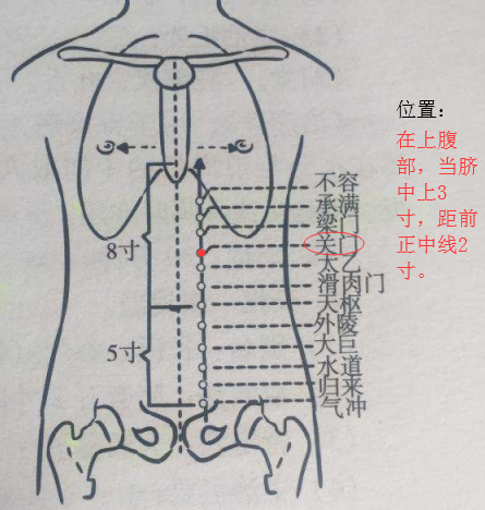 找关门穴的最笨方法,关门的准确位置图和作用