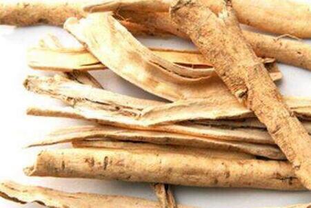 白鲜皮的功效与作用及禁忌