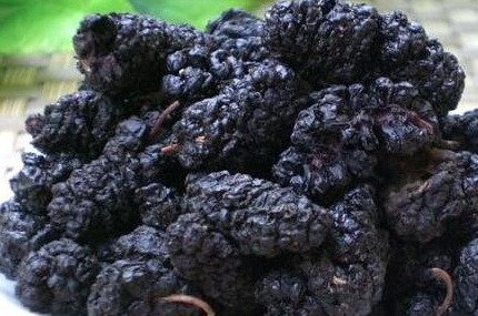 桑葚干的功效与作用及禁忌,桑葚干的吃法