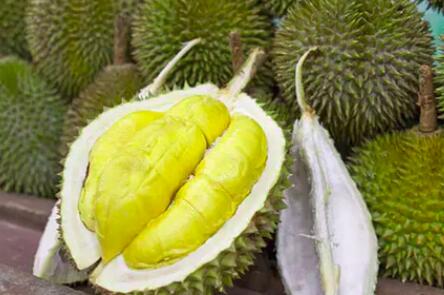 榴莲的核可以吃吗，榴莲核的营养价值是什么