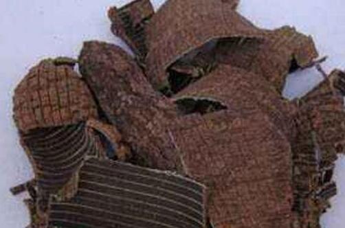 杜仲叶泡水喝的功效,杜仲叶的副作用与禁忌