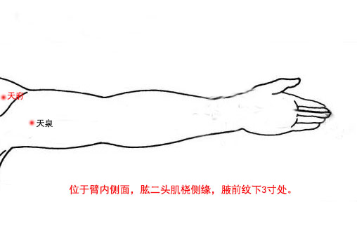 天府穴的简单找法，天府的准确位置图和作用