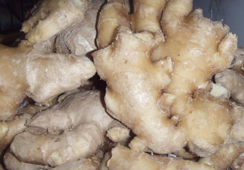 姜的功效与作用及禁忌，早上吃姜的正确方法