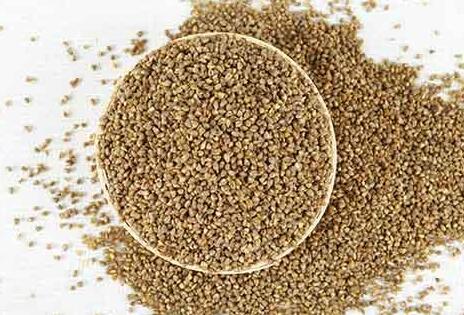 女性喝苦荞茶的作用，苦荞茶女人喝了有什么好处