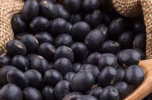 男人坚持吃黑豆性功能，吃黑豆一个月性功能增强了