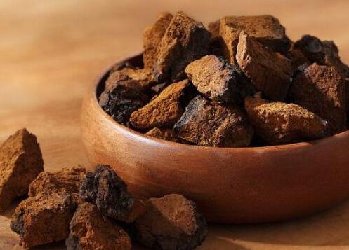 桦树茸为什么中国禁止，桦树茸的功效和吃法