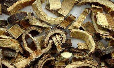 合欢皮的功效与作用及禁忌