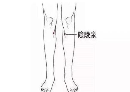 阴陵泉最笨找法，最笨找阴陵泉的方法是什么