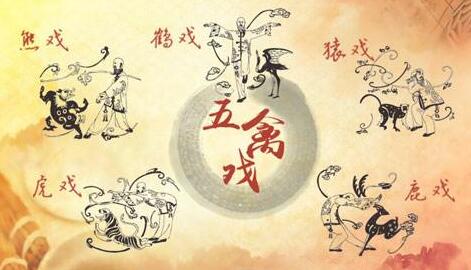 五禽戏哪个版本最正宗，坚持练五禽戏一年后